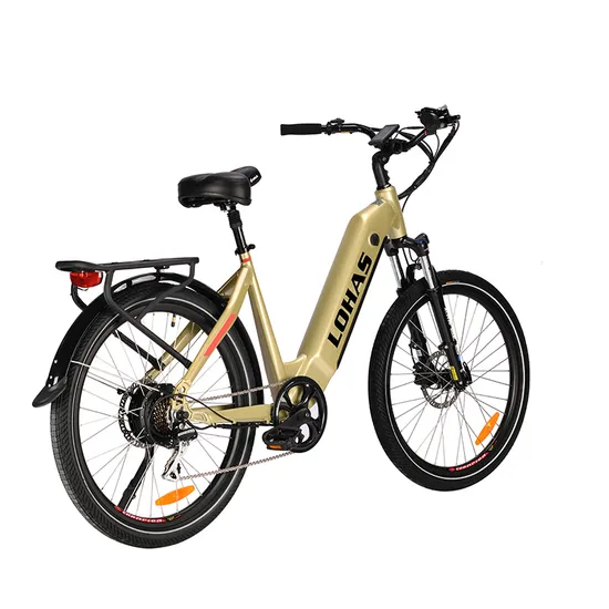 Female Friendly Urban Electric Bicycle with Comfort Saddle 