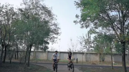 Wholesale 21speed 26 27.5 29er Carbon Fiber Aluminum Alloy Frame Disc Brake Shimano MTB Mountain Bicycle with Suspension Fork 