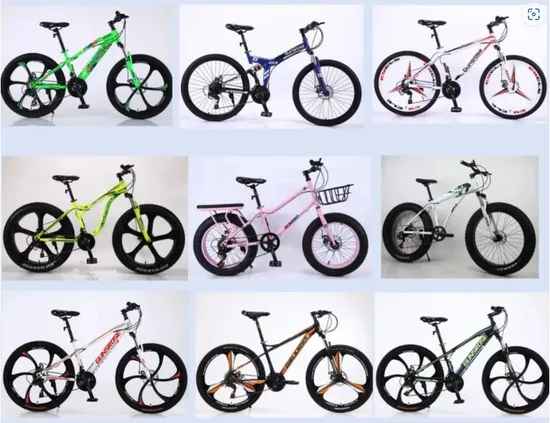 Hot Selling High Quality Folding Double Disc Brake Downhill Mountain Bike 