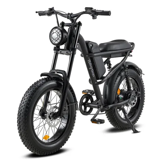 20 Inch 750W 52V Enduro Ebike USA EU Warehouse, Long Range City Vintage Retro Ebike, Full Suspension 250W Moped Ebike 